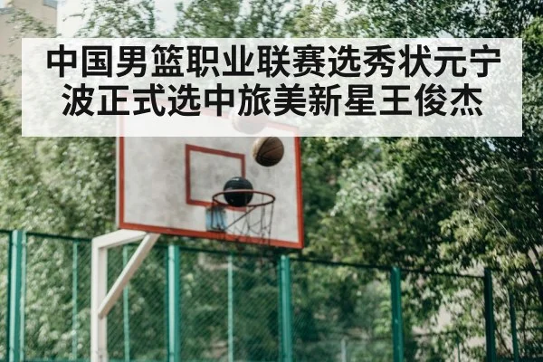 basketball training