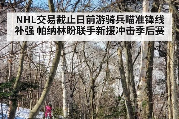 NHL交易截止日前游骑兵瞄准锋线补强 帕纳林盼联手新援冲击季后赛